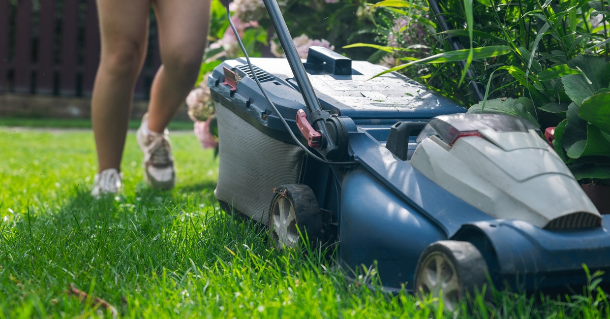 A person is pushing a blue lawn mower over long green grass around a bush of flowers and large plants.