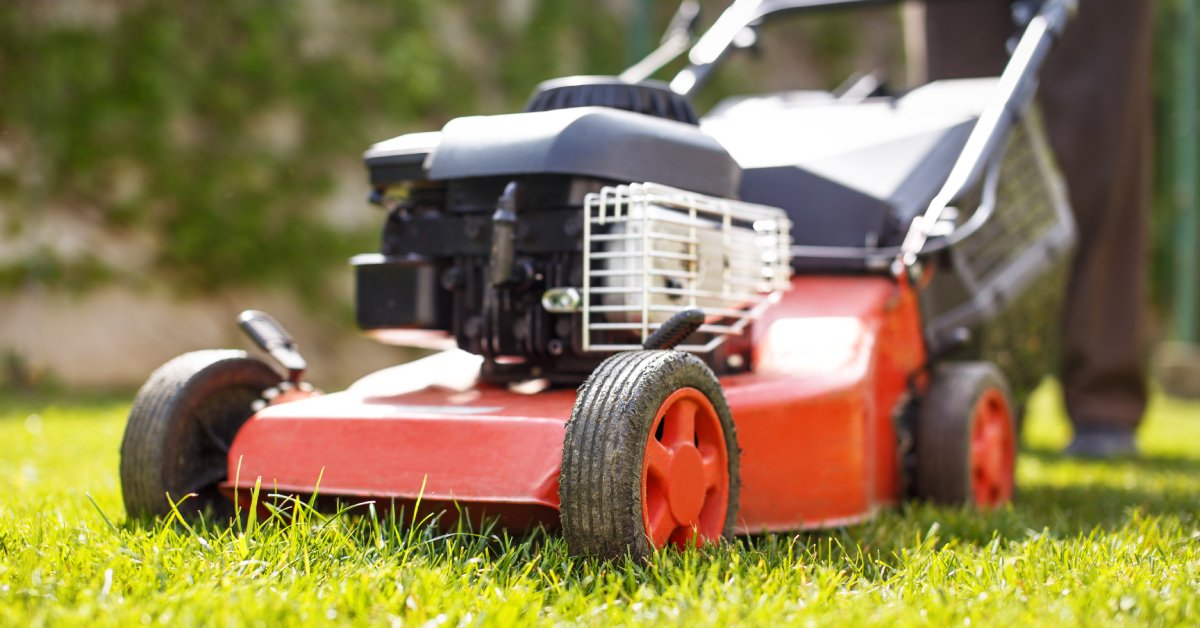 A low-angle view of a push lawn mower in a field with freshly cut grass, and a person standing behind it.